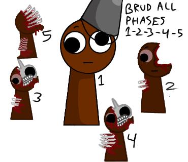 brud all phases 1-2-3-4-5