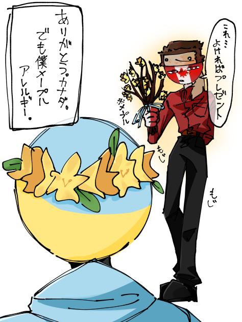 今年も花粉の季節がきた…