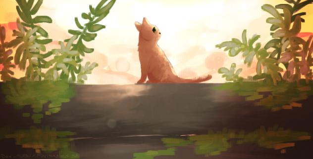 Stray - Remake