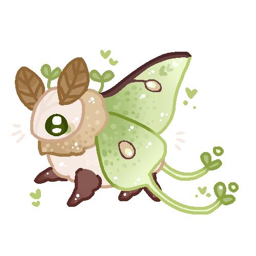luna moth