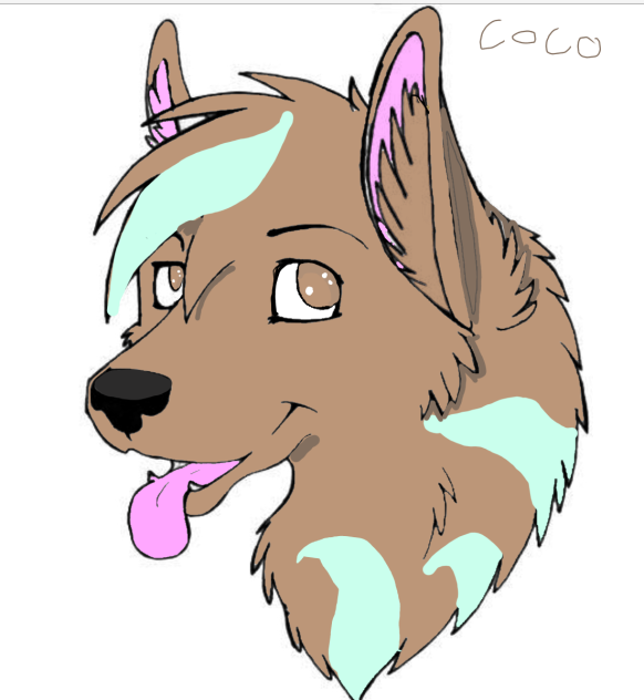 Coco - ibisPaint