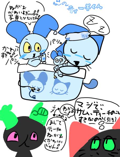 猫のティーチくん(寝顔可愛すぎティーチくん‼︎編)