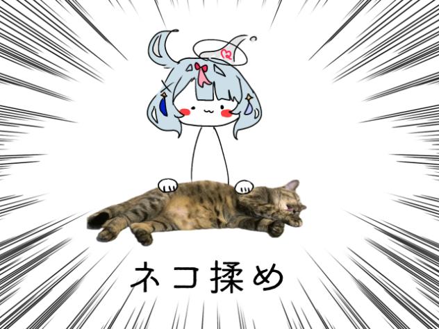 🦐より🐈揉め