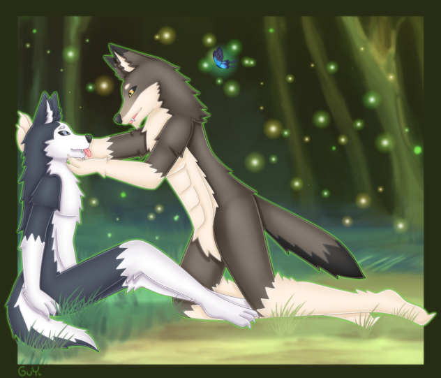 Siberian husky & Wolf