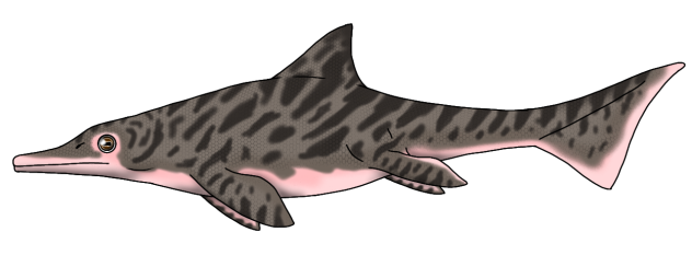 Common Efadefish (2023) render