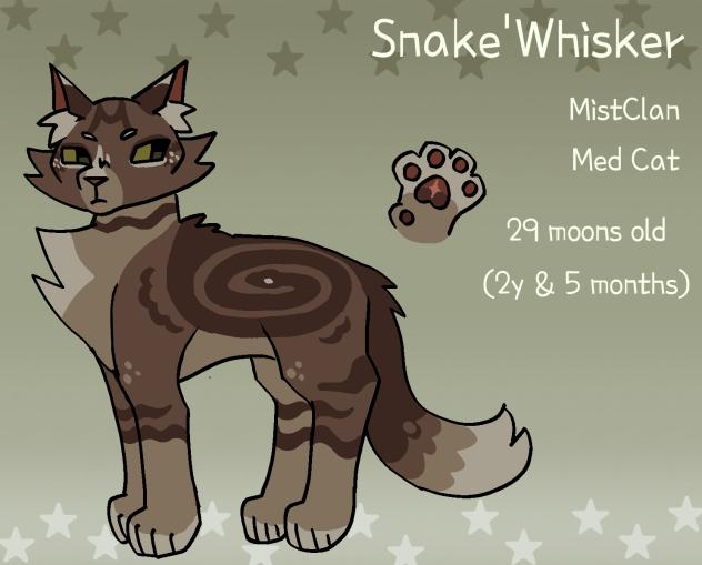 Snake'Whisker Warrior cats oc