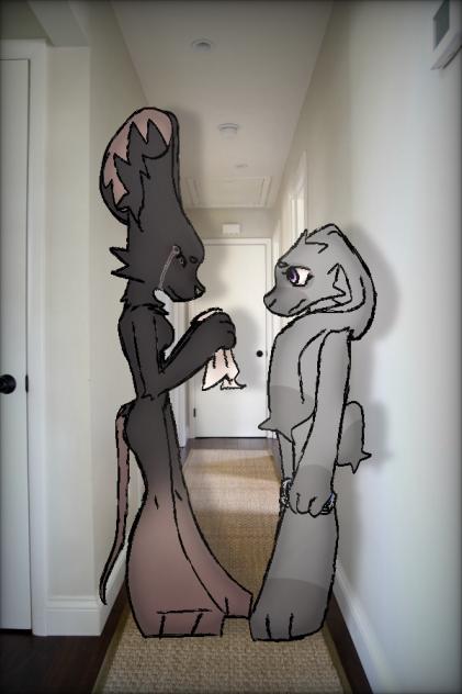 Something's wrong