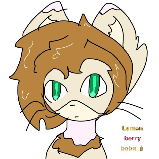 Am I bad at drawing ahh furries like dis