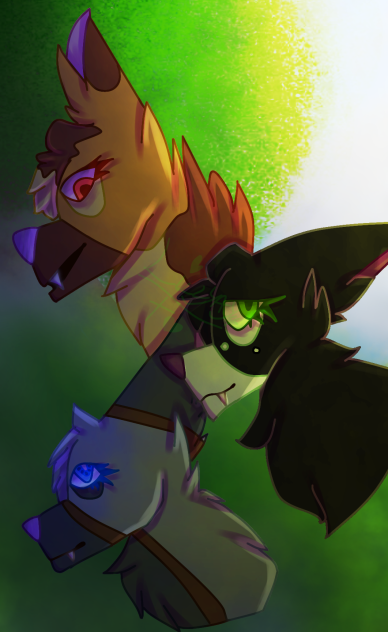 jayfeather , hollyleaf , and lionblaze