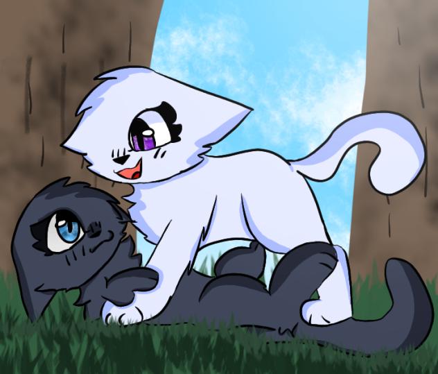 Rwo kittens