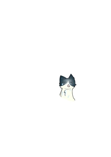 이로 합작 젳