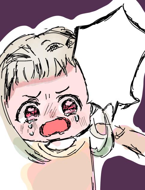 DLして使って下さい