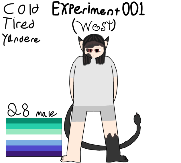 Experiment 001 (west)