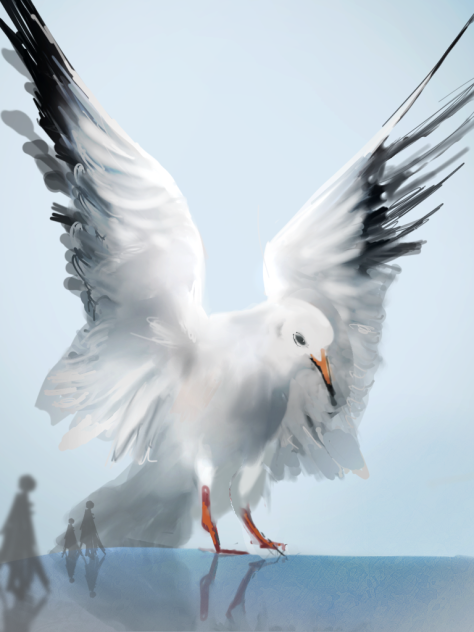鴎