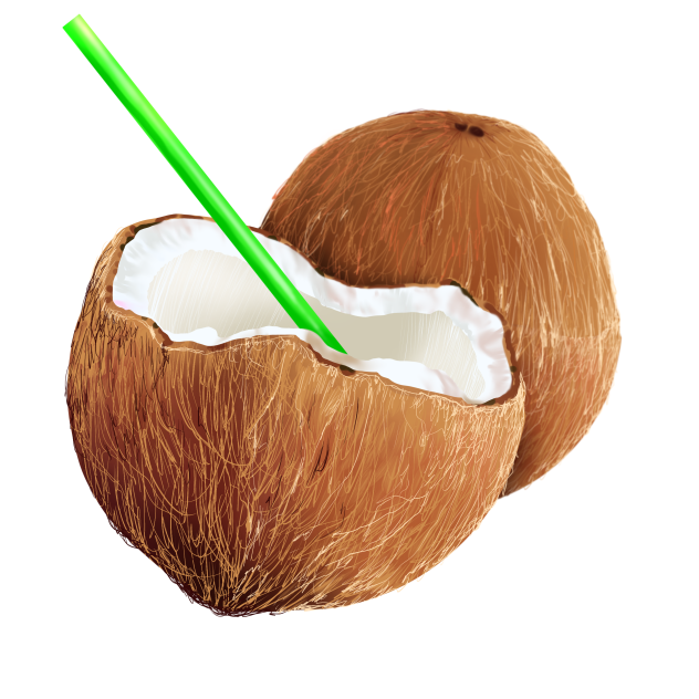 coconut