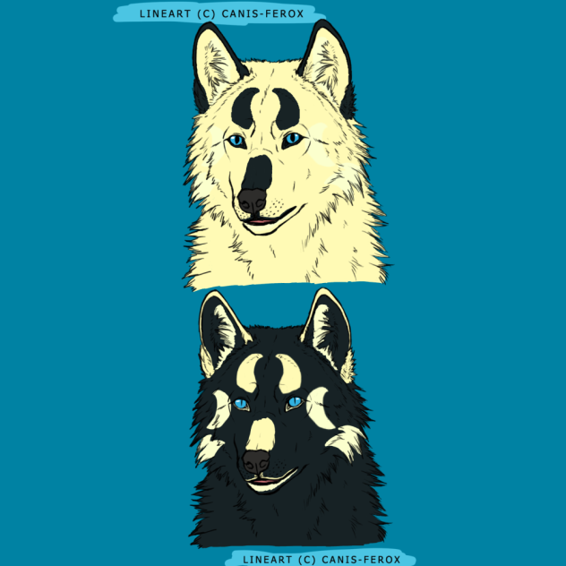 Wolf’s forms heads