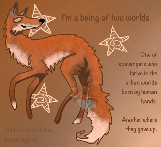 Not all red fox…