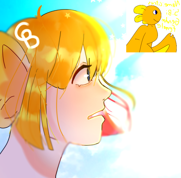Request no.1