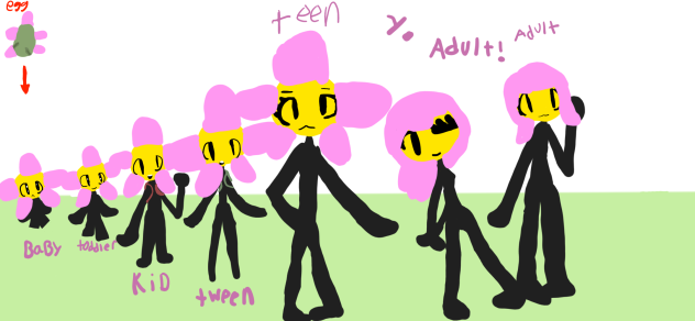 Flower's Stages of life