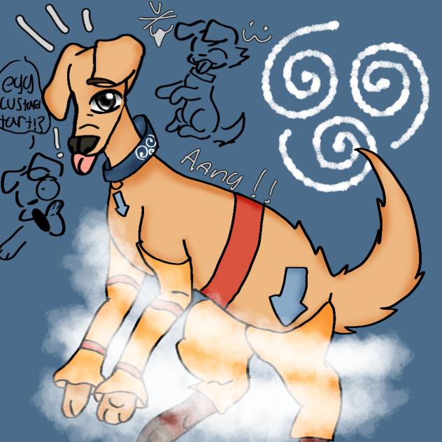 Aang the avatar dog