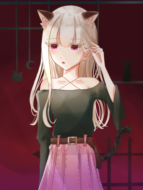 黒猫
