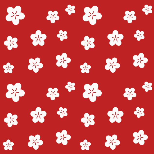 Clothes pattern 6 a