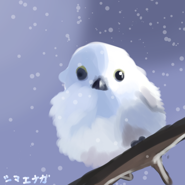 シマエナガ