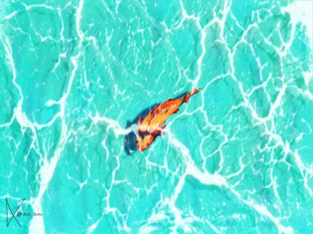 fish