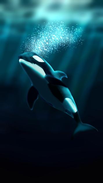 orca rising