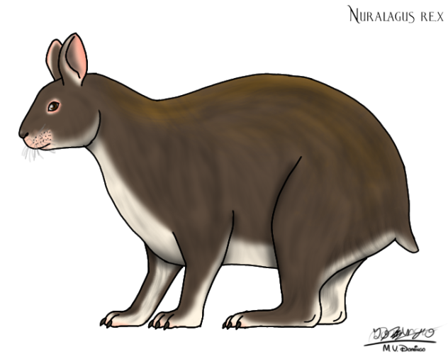 Nuralagus rex