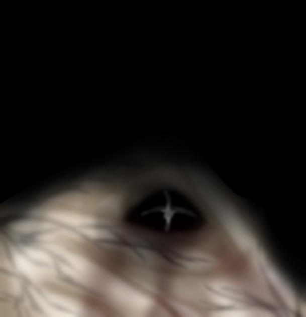I got bored in math class - ibisPaint