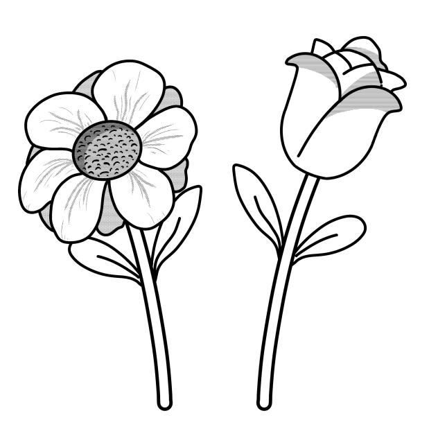 Little Flowers