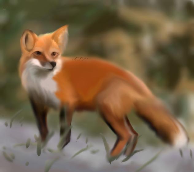 FOXXX