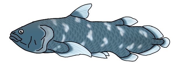 African coelacanth