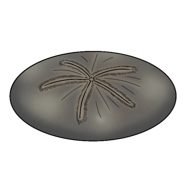 Lake Pebble Dollar render