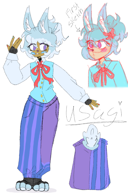 Usagi