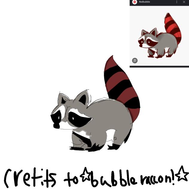 CUTEI RACCON!
