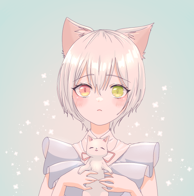 猫