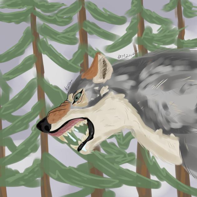 wolf