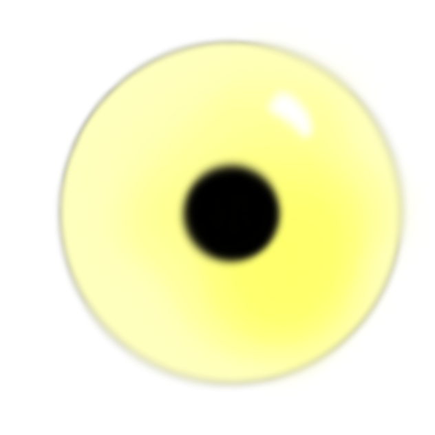 Lizard eye