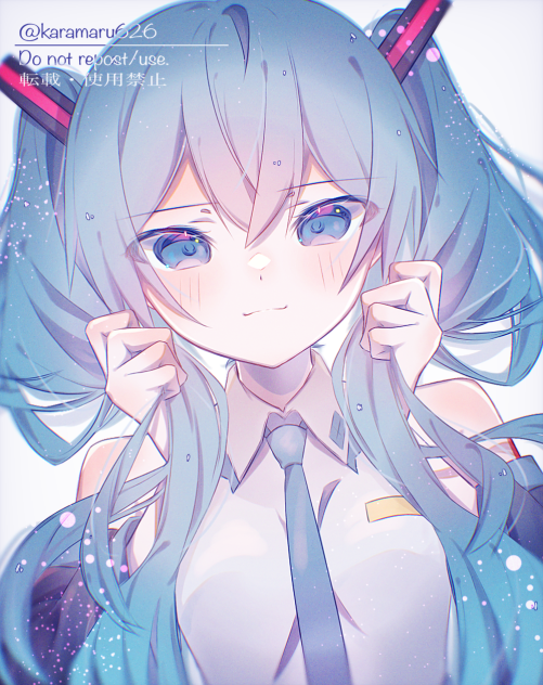 💙ツインテール💙