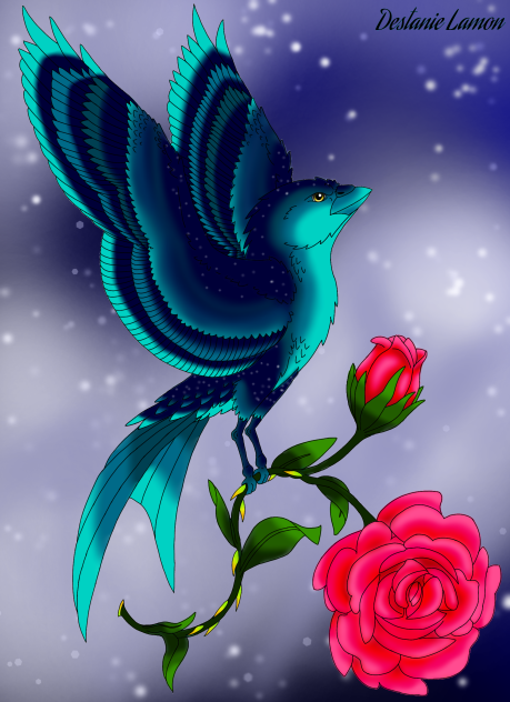 Start Night Bird With Rose
