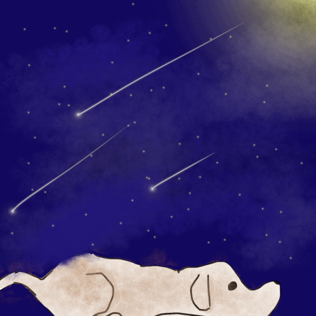 犬と流れ星