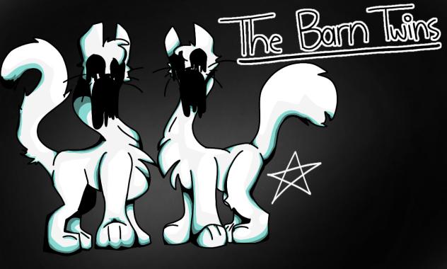 The Barn Twins