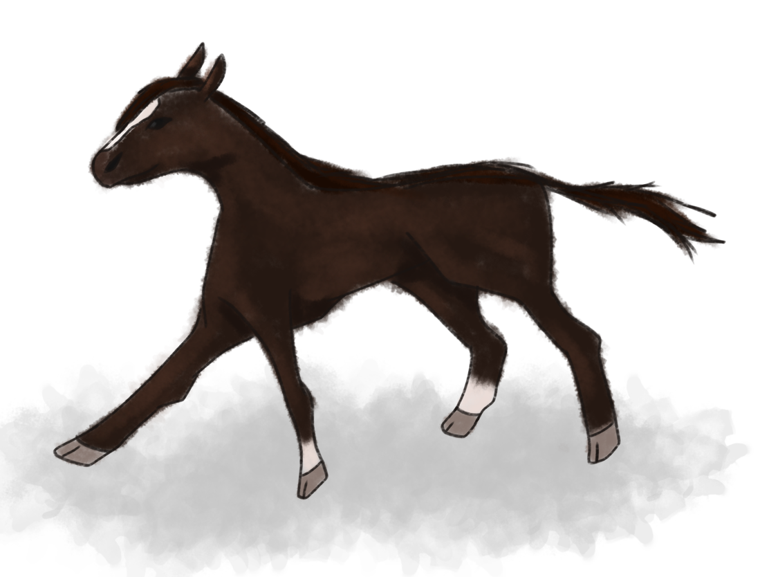 黒鹿毛の馬 Ibispaint