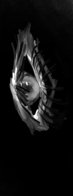 the eye of the eye.