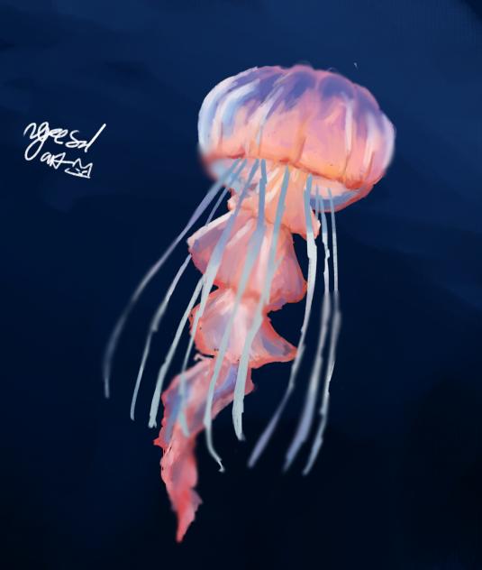 jellyfish