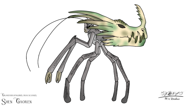Shen Gaoren