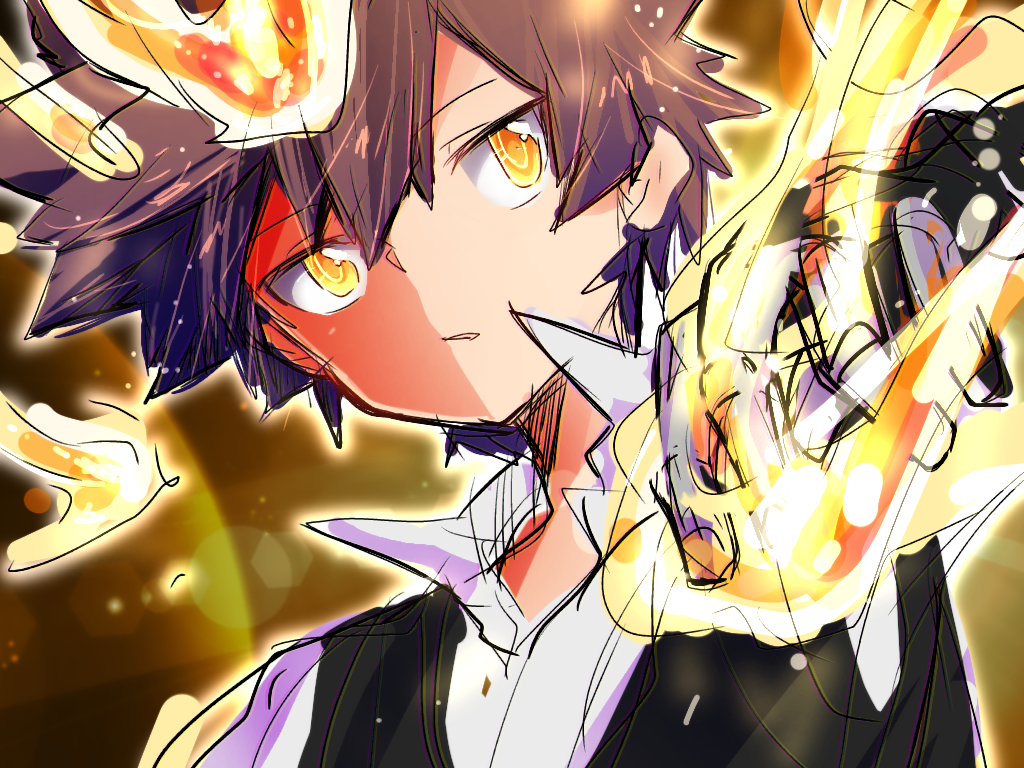 沢田綱吉 - ibisPaint