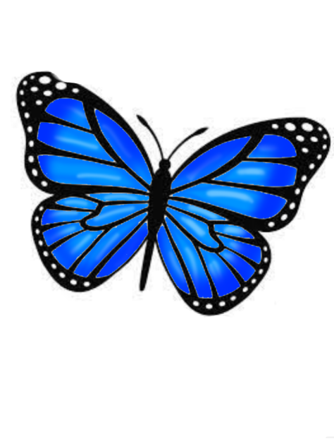 How to color butterfly